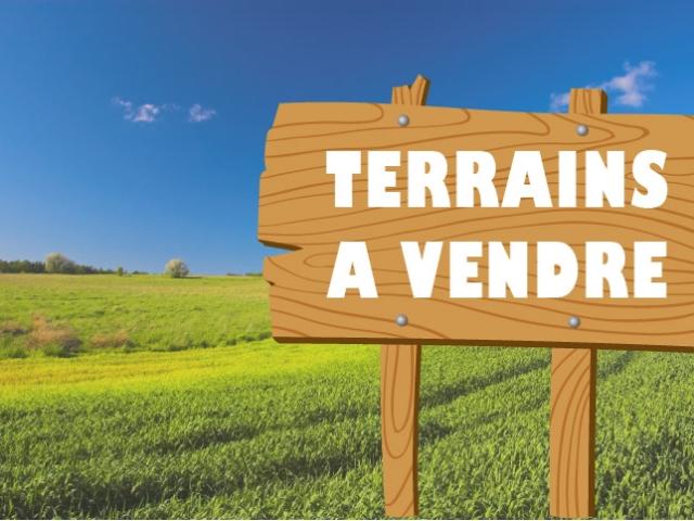 VENERQUE TERRAINS