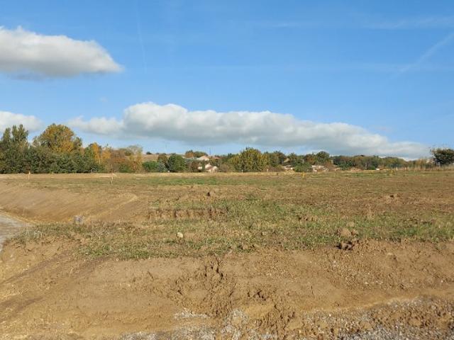 Venerque Vente Terrain 31