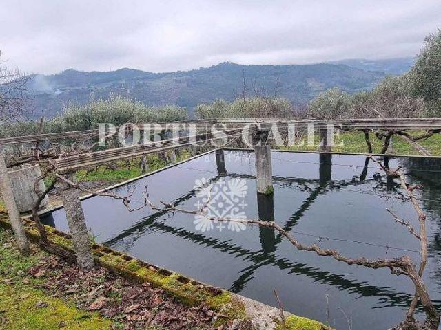 Venha descobrir a Quinta O Caneiro em Nagosa, Moimenta da Beira | 26063921152