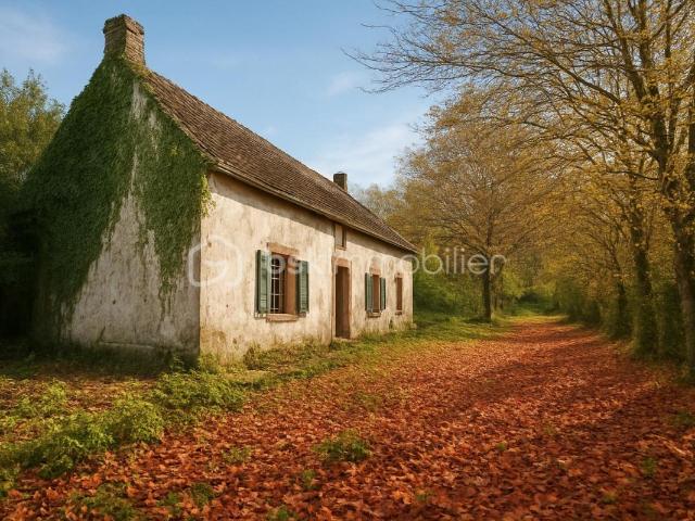 Venizy Vente Maison 89