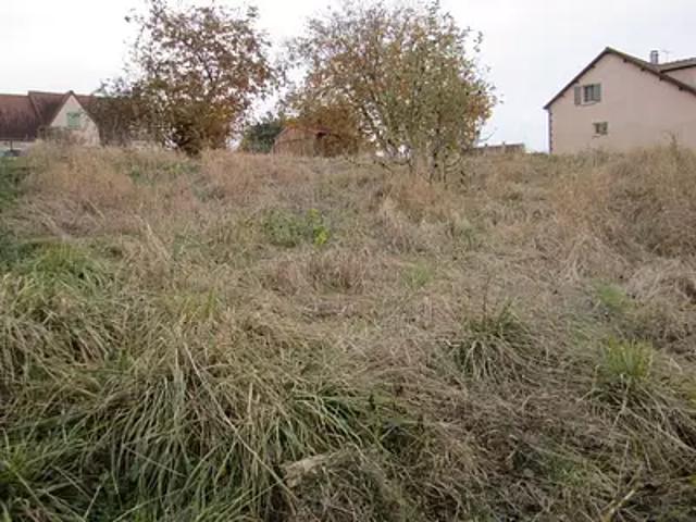 Venouse 89230 Achat / Vente terrain
