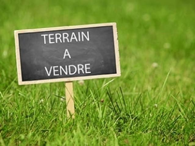 VEAUCHE T