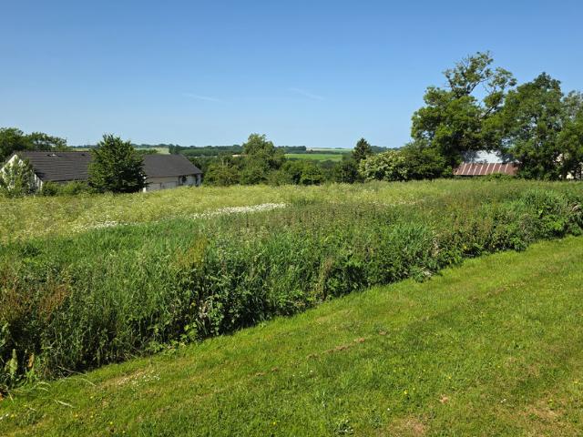 Veauville lès Quelles Vente Terrain 76