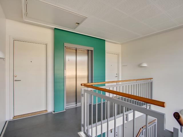 Ved Store Dyrehave