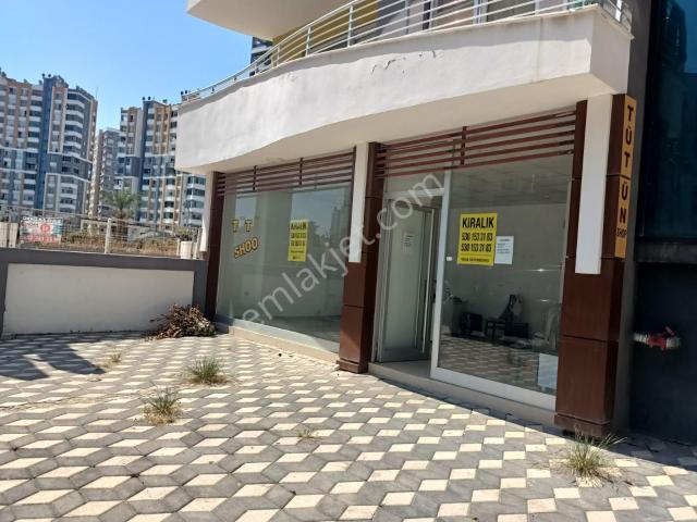 Vega'dan Tecede Migros Cıvarında Kiralık 40m2 Kiralık Dükkan