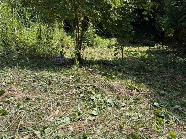 Velappaya, Thrissur City 4356 Sq.Ft. Plot in Velappaya Thrissur Listing ID: #10241