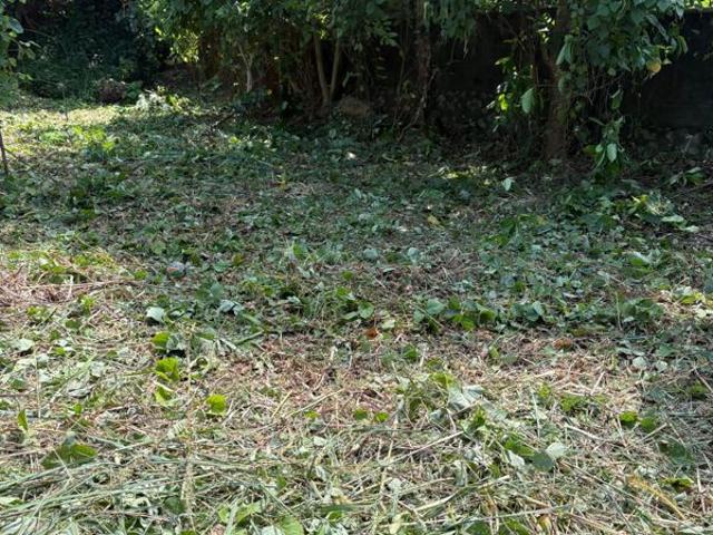 Velappaya, Thrissur City 4356 Sq.Ft. Plot in Velappaya Thrissur Listing ID: #10244