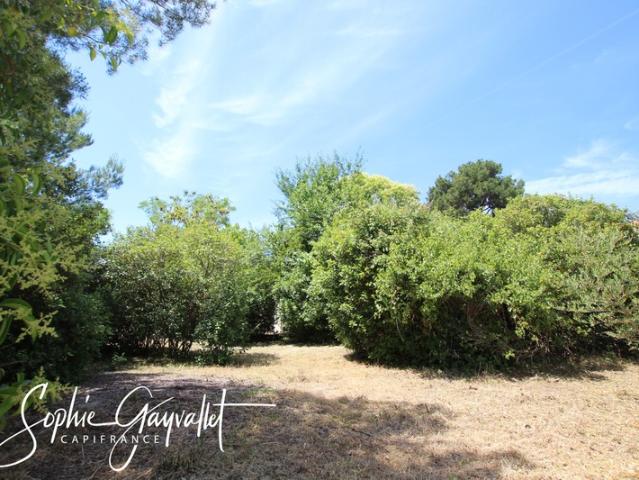 Velaux Vente Terrain 13