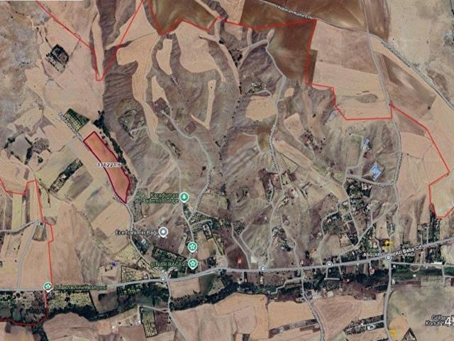 VELİHİMMETLİ BAĞLARDA 23.280M2 TEK TAPU MÜKEMMEL KONUM TARLA