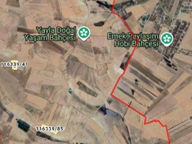Velihimmetli'de 1380 M2 Hisseli Tarla