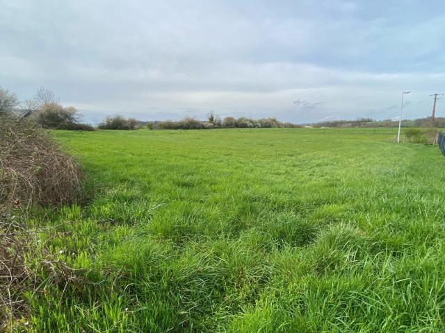 Velleminfroy Vente Terrain 70