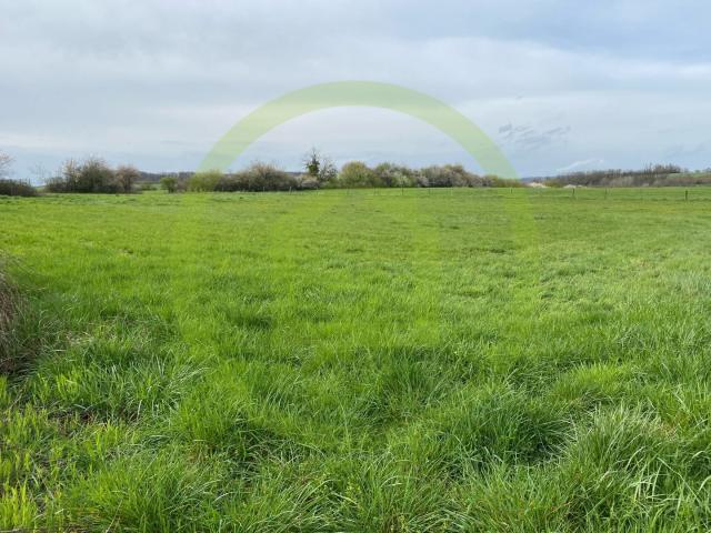 Velleminfroy Vente Terrain 70