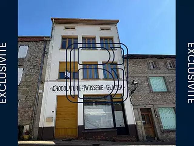 Vertolaye 63480 Achat / Vente maison 14 pièces t14 terrasse