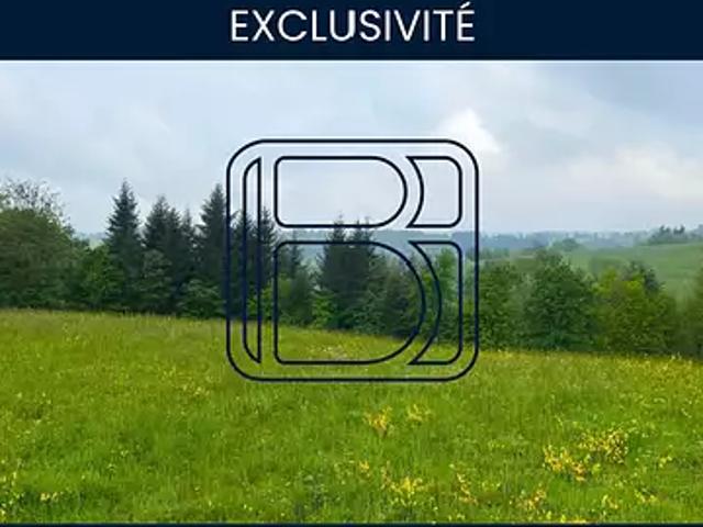 Vertolaye 63480 Achat / Vente terrain
