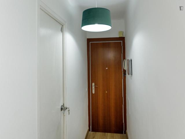 Very nice single bedroom near the Torrassa metro