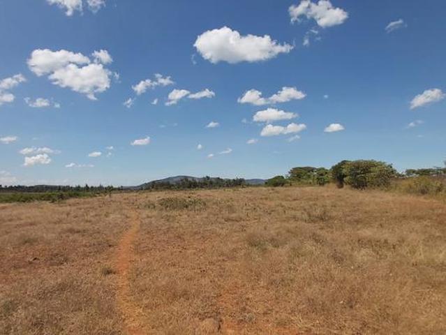 Very Prime Residential Property For Sale at Nanyuki Diaga, asking Kes 980K Half Acre slightly negotiable