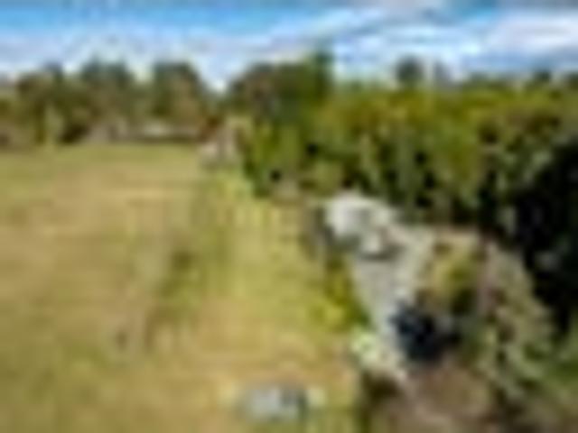 Very tempting lifestyle property