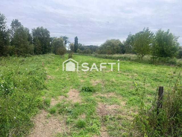 Verzenay Vente Terrain 51