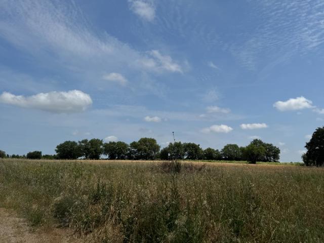 Vérargues Vente Terrain 34