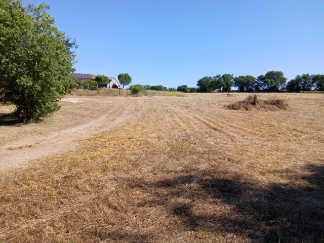 Vérargues Vente Terrain 34