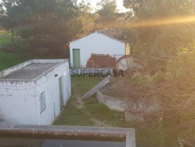 Verdejante Algarvio: Quintinha de 5,5 Hectares nas Proximidades de Olhão