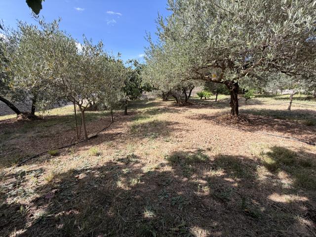 Vergèze Vente Terrain 30