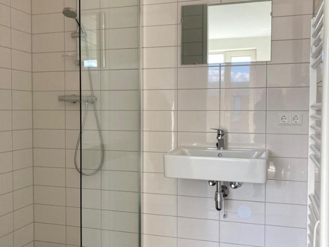 Verhuurd onder voorbehoud: Develstein 492