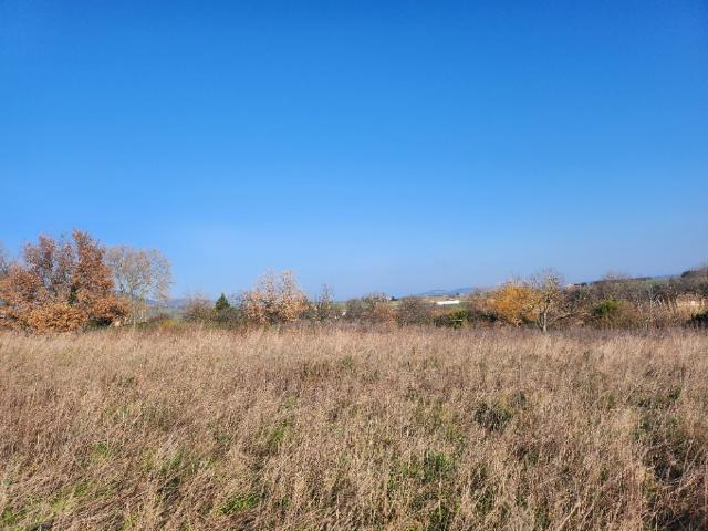 Vérin Vente Terrain 42