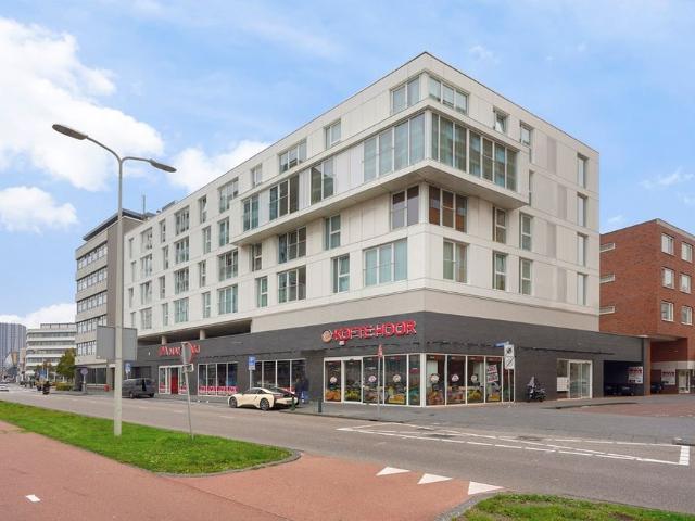 Verisstraat, 18, 2521CL, Den Haag, Zuid Holland 2521CL