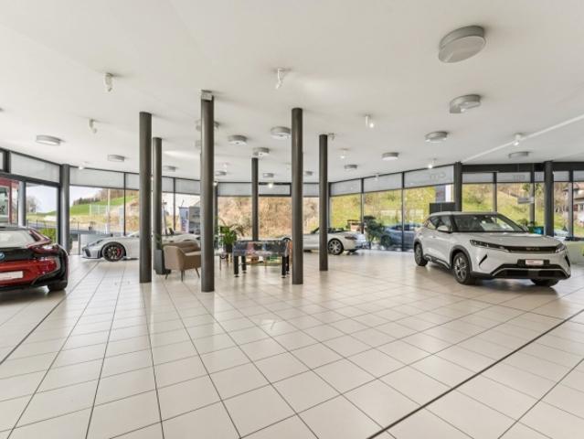 Verkaufsfläche/Showroom zum Vermieten!