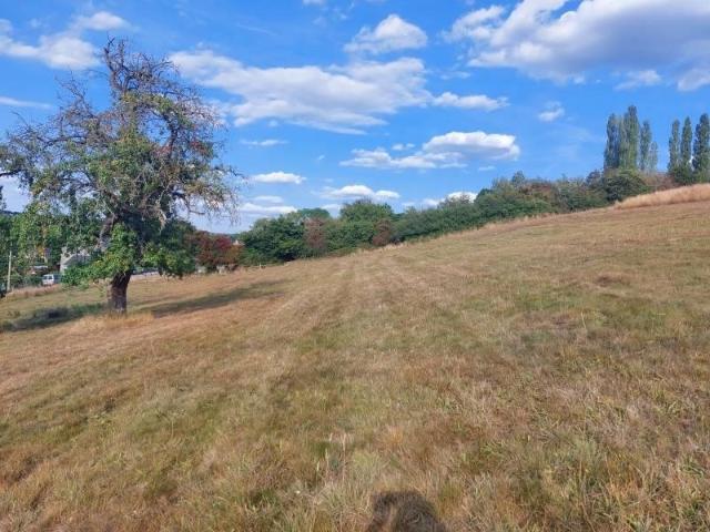 à vendre Terrain à lotir Lesve