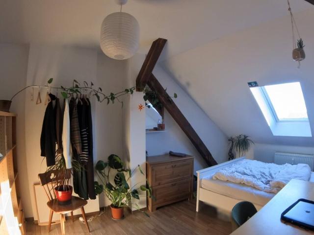 Vermietete 3 Raum Wohnung Nr. 7 am Rande der Altstadt Kapitalanlage Studenten WG