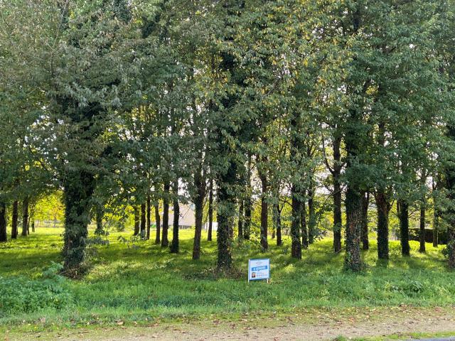 Vernantes Vente Terrain 49