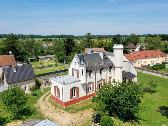 Verneuil l'Étang Vente Propriété/château 77