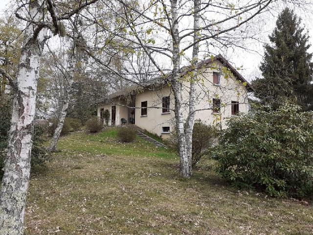 Verneuil sur Vienne Vente Maison 87