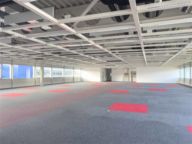 Vernier – Fläche von 1309 m² im Dachboden – IKEA Gebäude