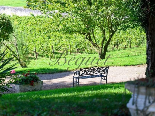 Vernou sur Brenne, 37210, Maison 340 m2, Maison de gardien e. 500m² Vernou sur Brenne