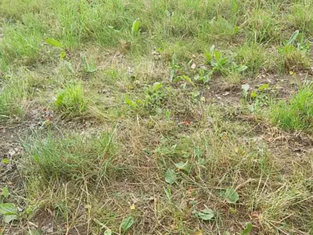 Véron 89510 Achat / Vente terrain