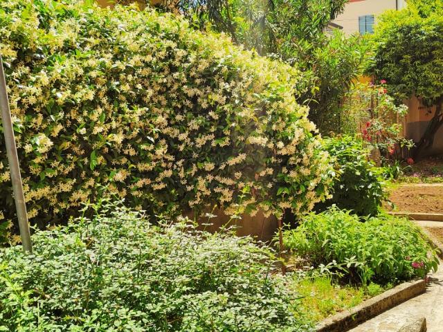 Verona ZONA BORGO VENEZIA AFFITTASI APPARTAMENTO PARZIALMENTE ARREDATO CON GIARDINO CONDOMINIALE