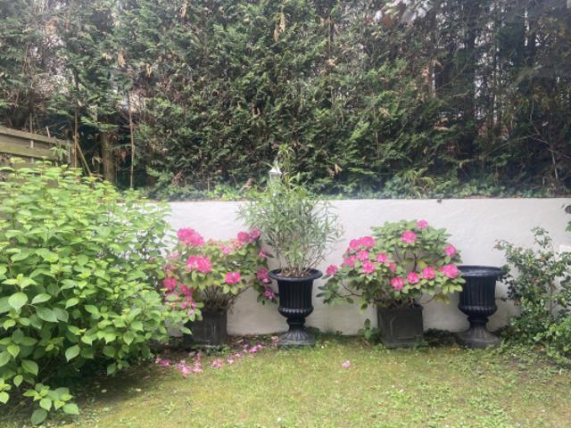 VERSAILLES CHANTIERS limite PORCHEFONTAINE Maison 126 m2 pl
