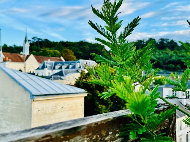 Versailles Vente Appartement 78