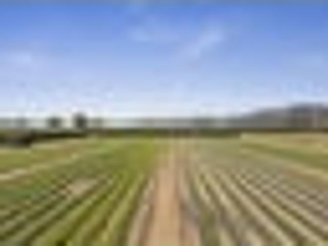 Versatile living and land on Paton Road