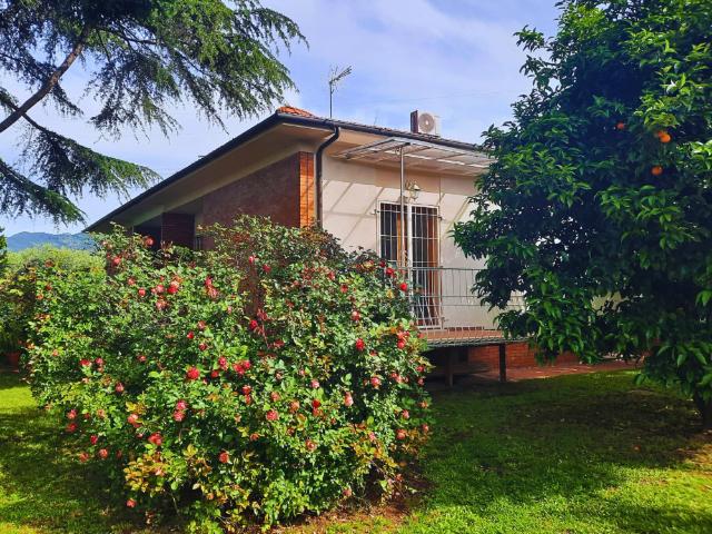 Versilia Olive Residence: Your Tuscan Remote Work