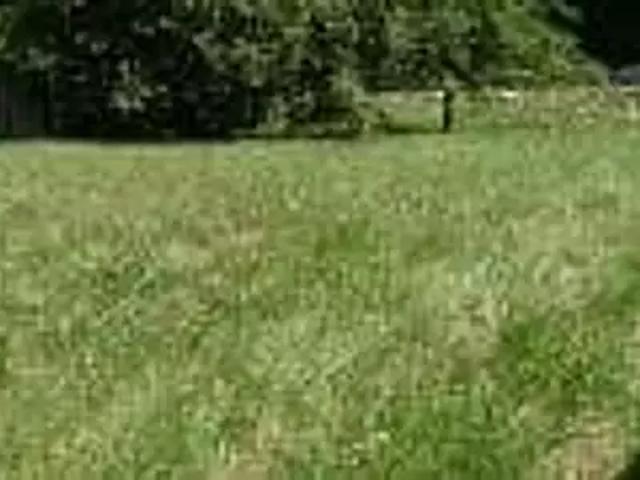 Vescemont 90200 Programme neuf terrain neuf à vendre