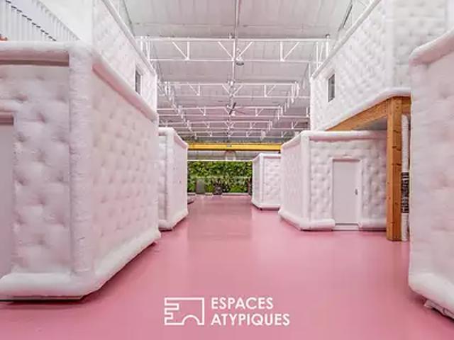 Veuzain sur Loire 41150 Achat / Vente divers cave