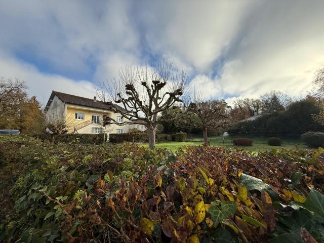 Veyrac Vente Maison 87