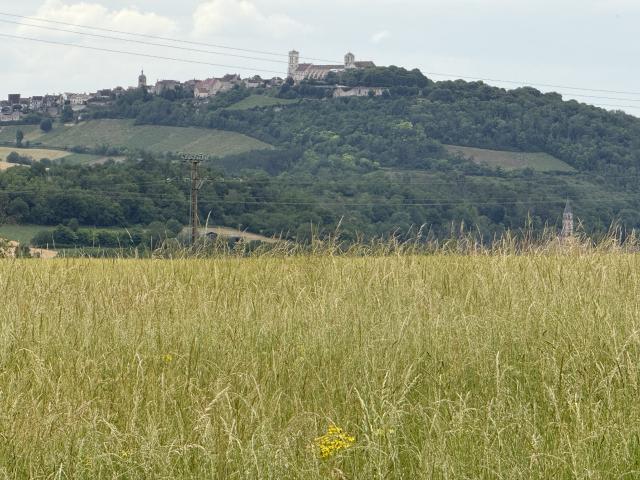 Vézelay Vente Terrain 89