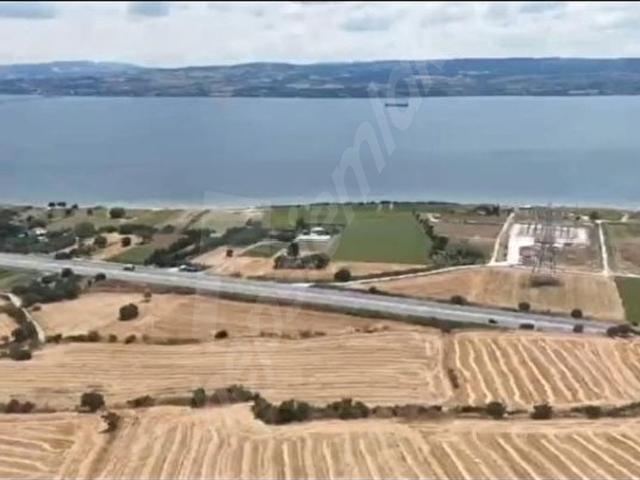 VEZİROĞLU GAYRİMENKUL GELİBOLU SÜTLÜCEDE SATILIK TARLA