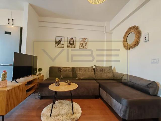 Vișan Bloc nou 2 camere 300 euro!
