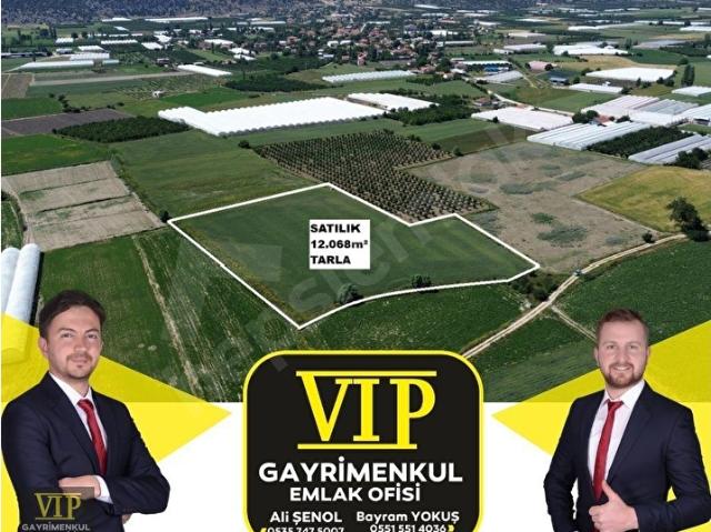 VİP GAYRİMENKUL'den ZÜMRÜTOVA MAH. BÖLGEDE ENUYGUN FİYATLI TARLA